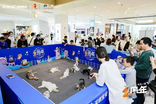 新沙天虹大型寵物活動招募贊助商與集市攤位，2月12日-13日寶安沙井敬請期待